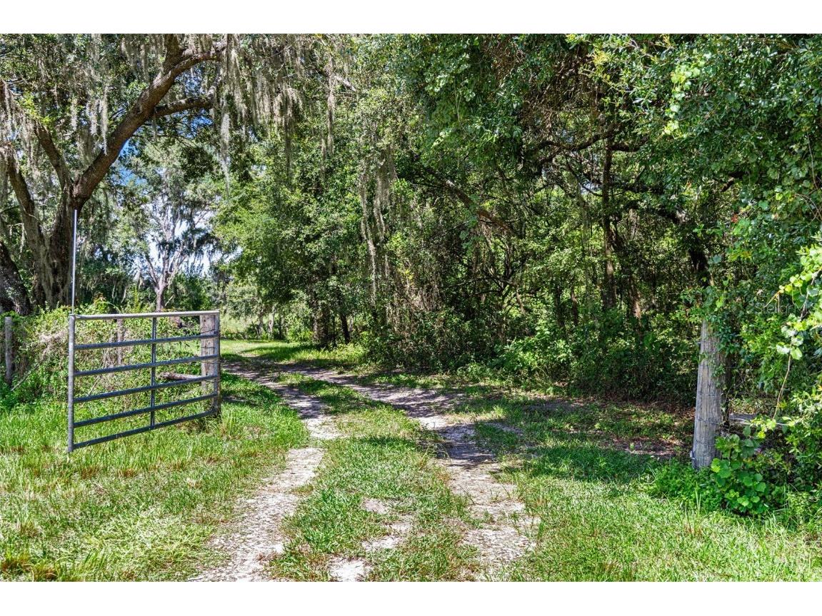 14765 Us Highway 41 Spring Hill FL 34610 TB8419309 image44