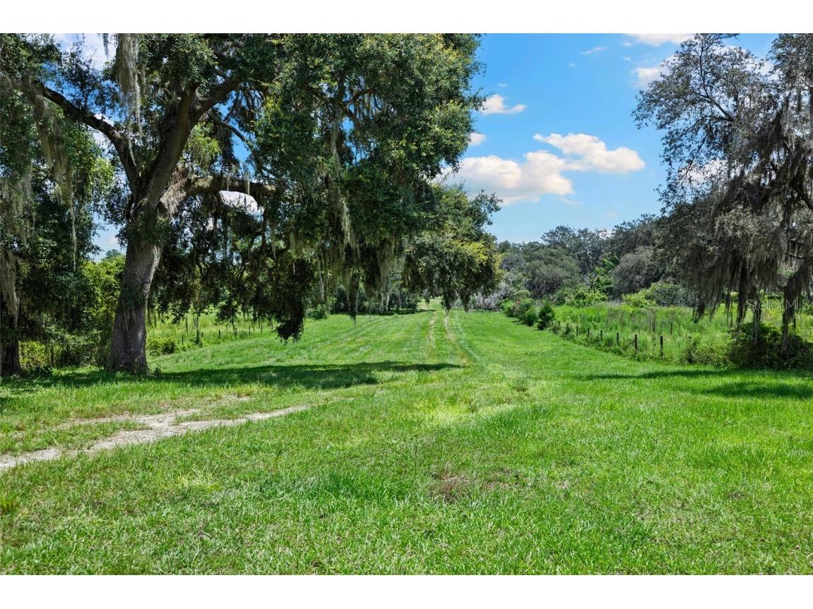 14765 Us Highway 41 Spring Hill FL 34610 TB8419309 image46