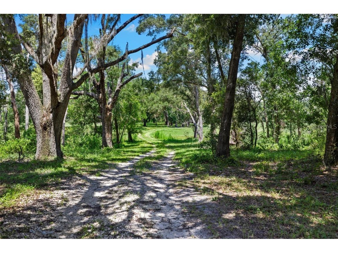 14765 Us Highway 41 Spring Hill FL 34610 TB8419309 image47