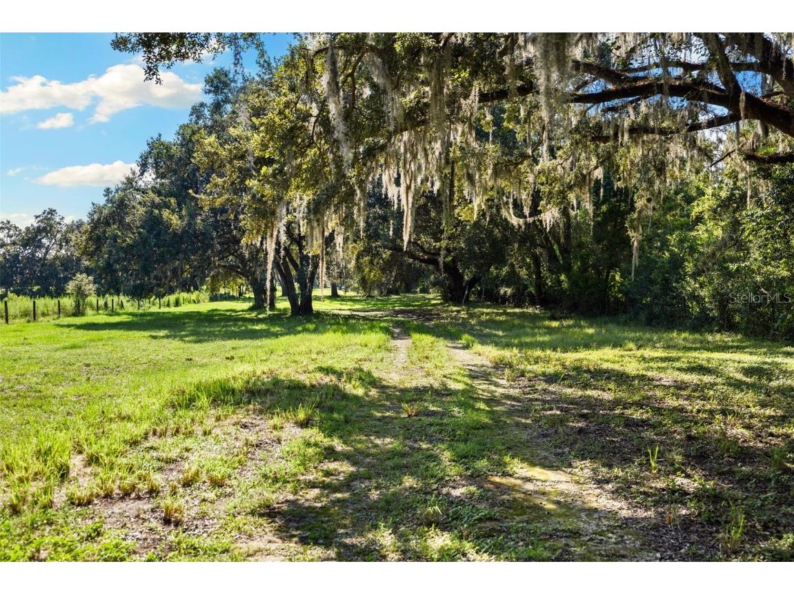 14765 Us Highway 41 Spring Hill FL 34610 TB8419309 image53