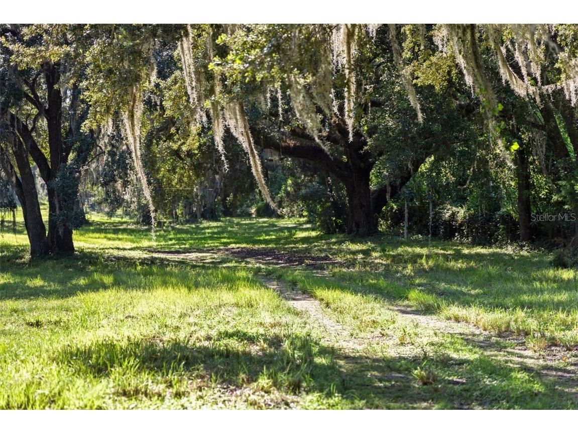 14765 Us Highway 41 Spring Hill FL 34610 TB8419309 image54