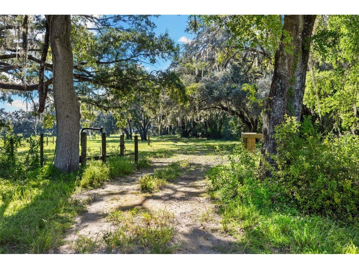 14765 Us Highway 41 Spring Hill FL 34610 TB8419309 image55