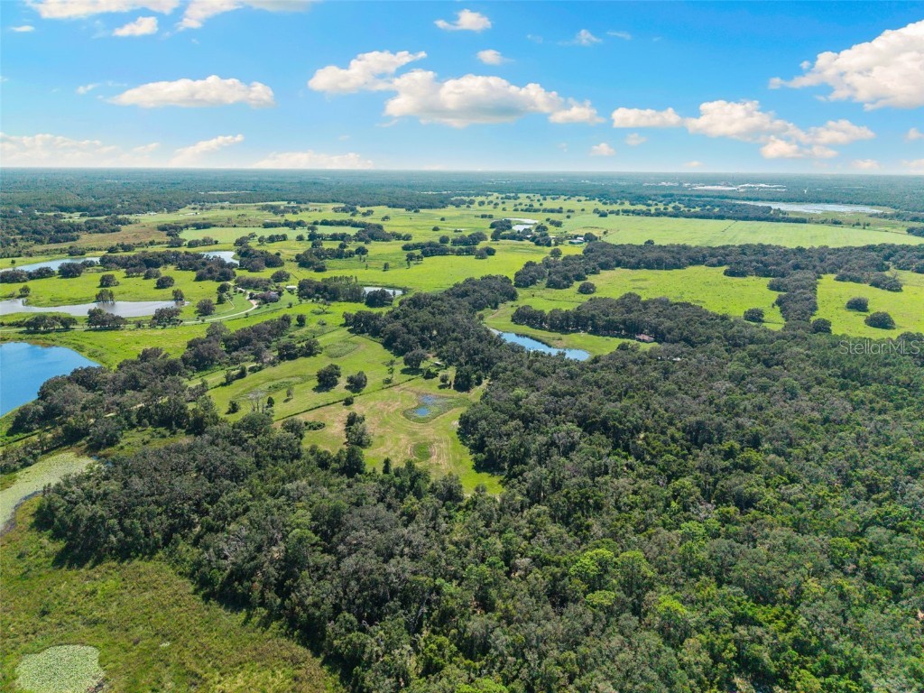 14765 Us Highway 41 Spring Hill FL 34610 TB8419309 image56