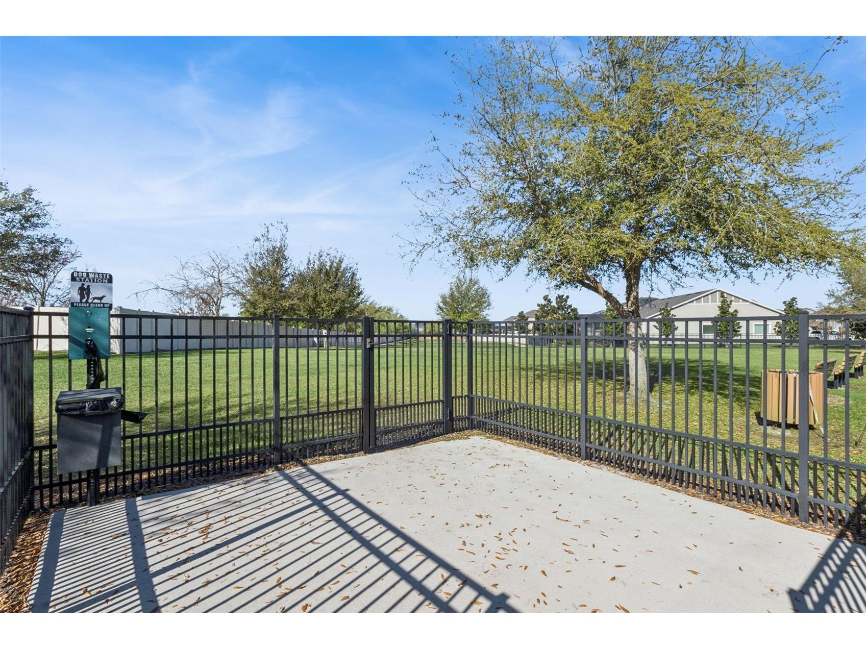 14766 Ellingsworth Lane Winter Garden FL 34787 O6390518 image39