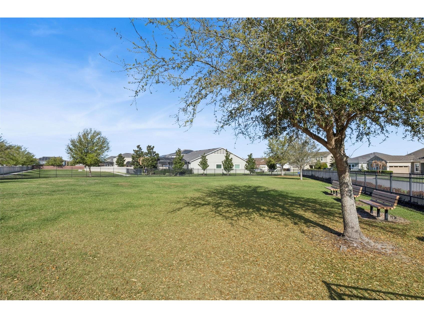 14766 Ellingsworth Lane Winter Garden FL 34787 O6390518 image40