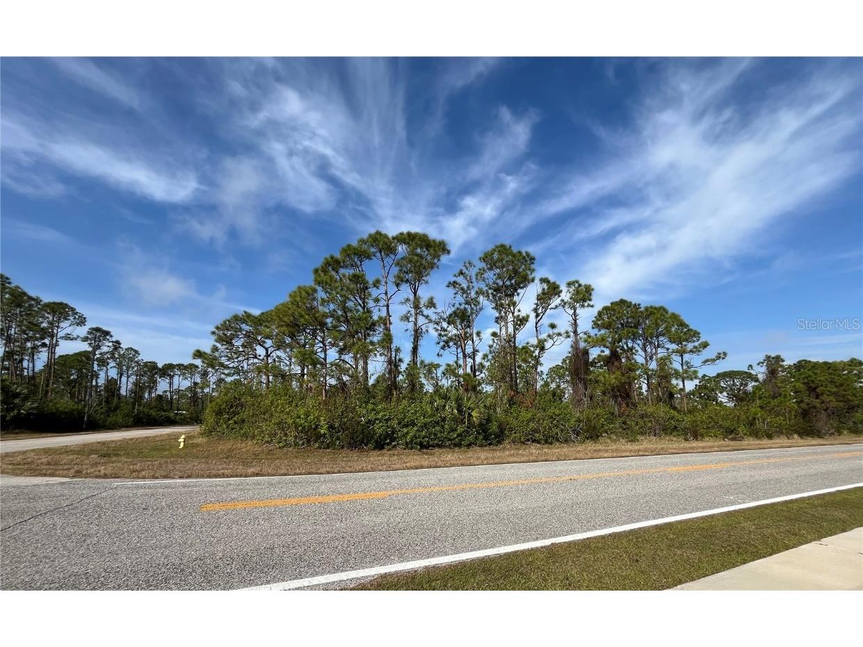 14767 San Domingo Boulevard Port Charlotte FL 33981 D6143985 image1