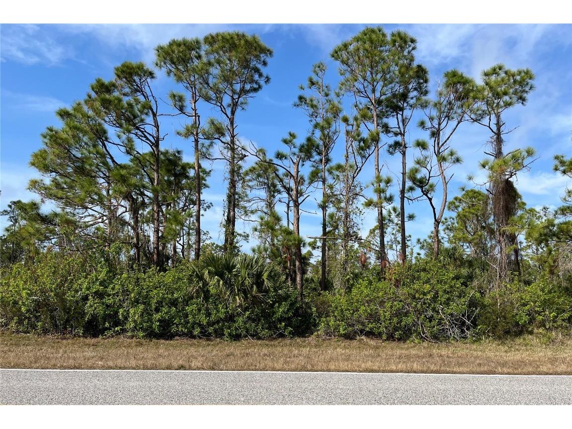 14767 San Domingo Boulevard Port Charlotte FL 33981 D6143985 image3