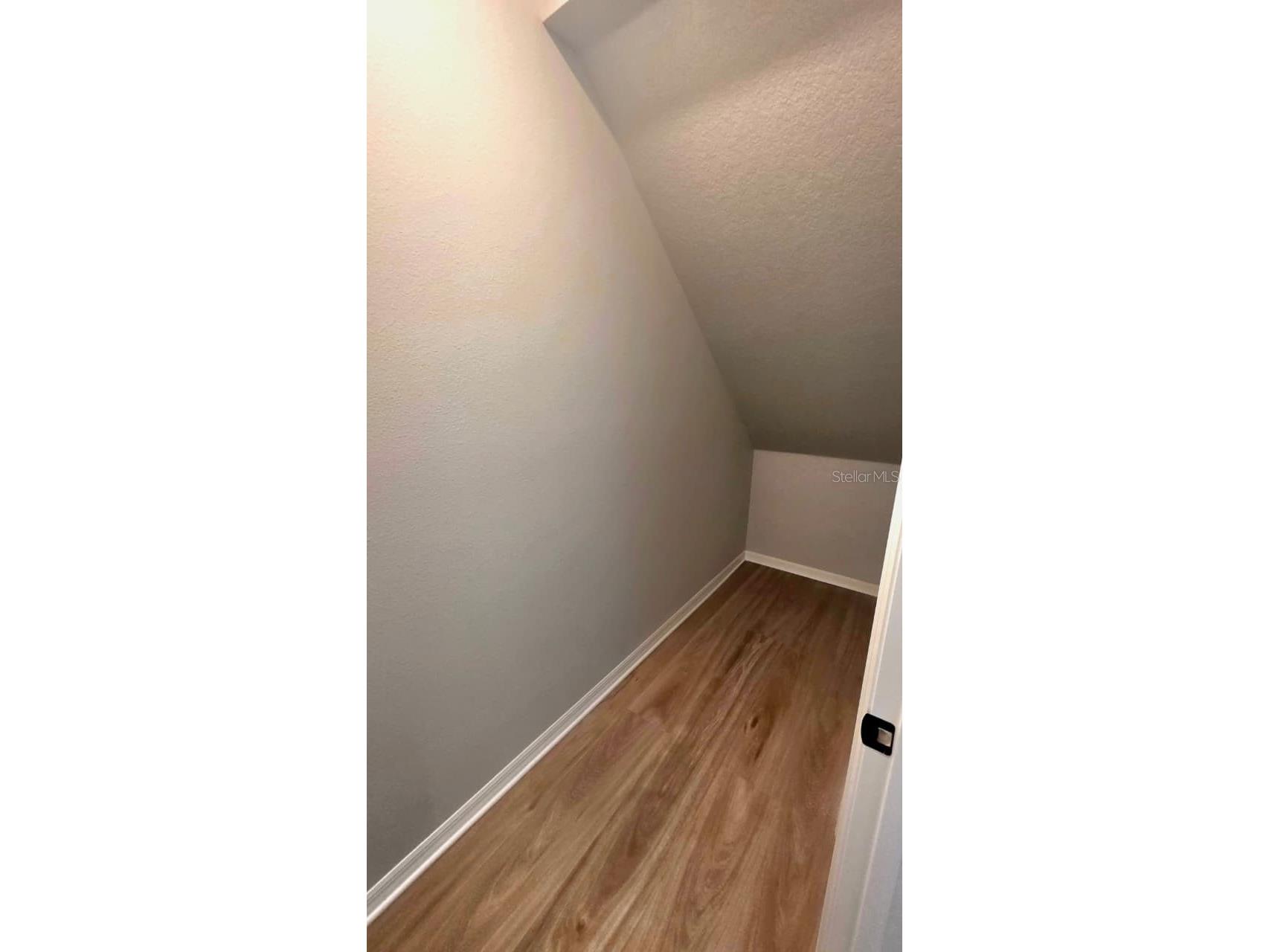 14768 Field Daisy Drive Winter Garden FL 34787 O6416610 image22