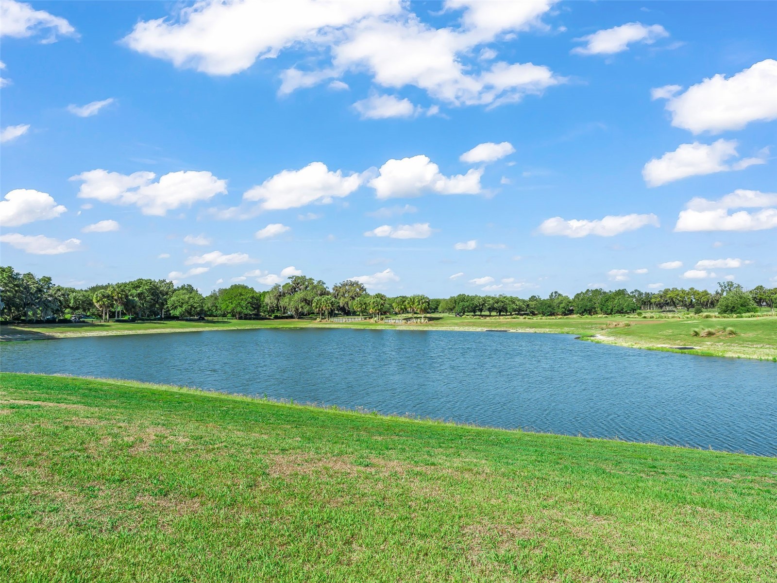 1477 Blease Loop The Villages FL 32162 G5110462 image65
