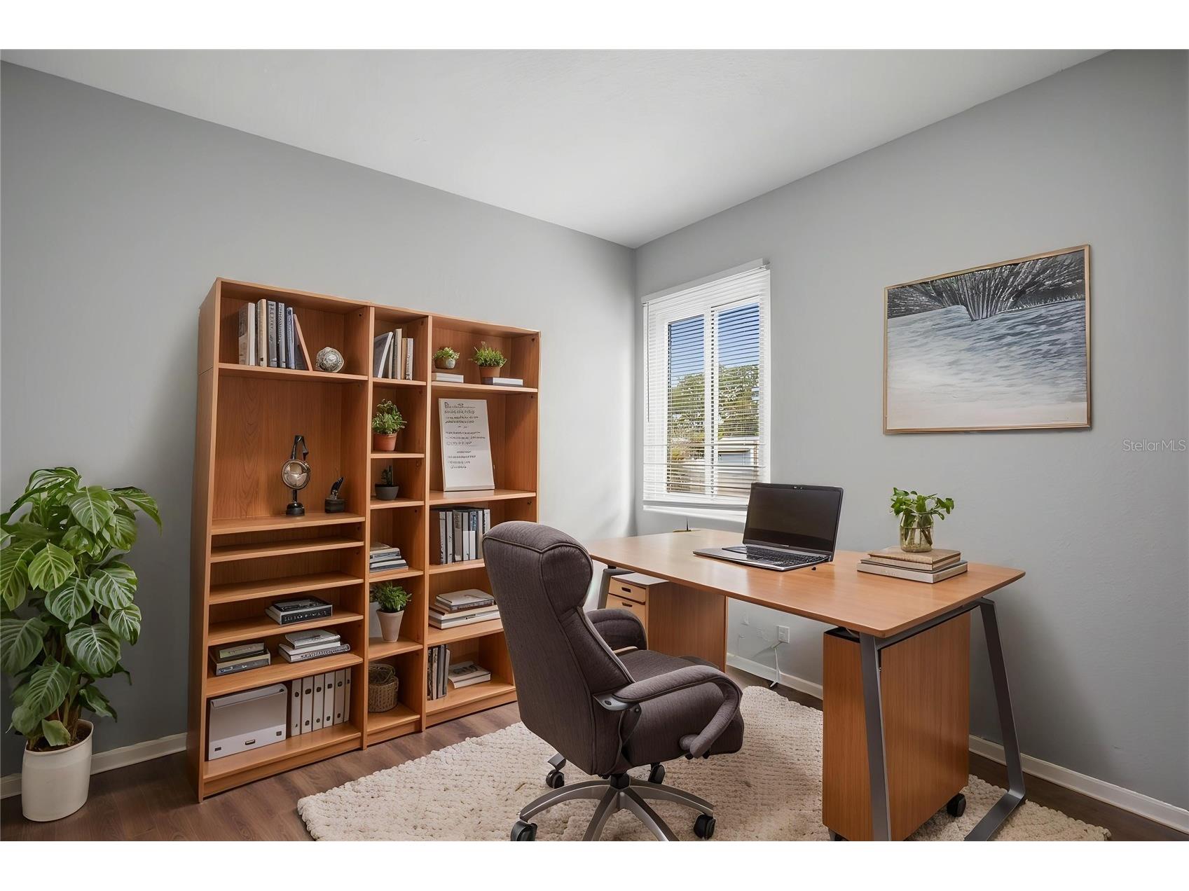 1477 S Prescott Avenue Clearwater FL 33756 O6389565 image5