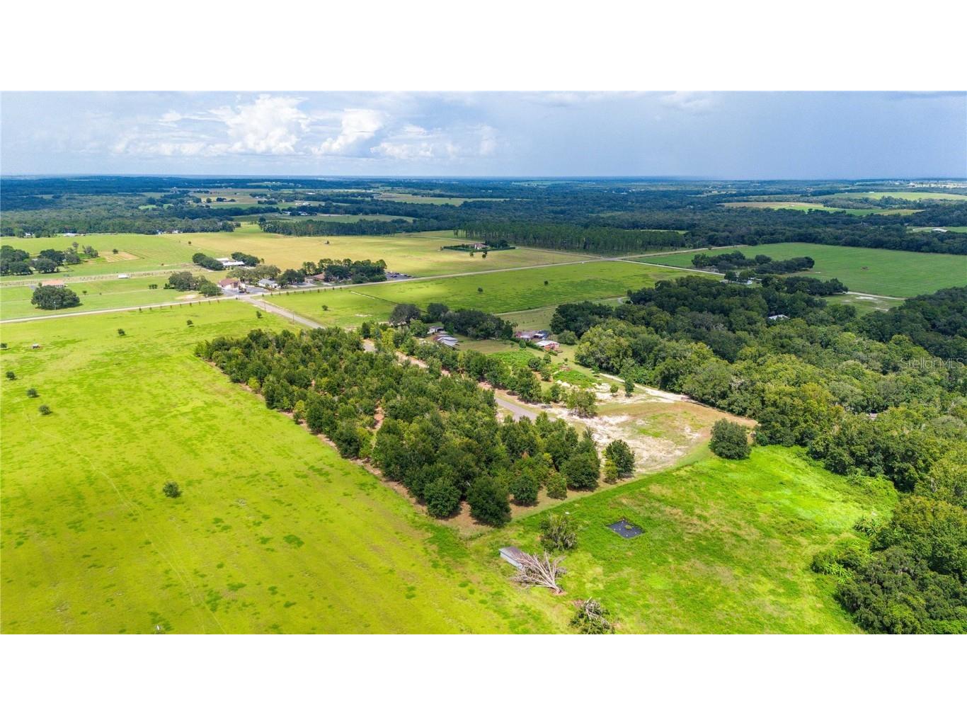 14770 Crimson Oaks Trail Dade City FL 33525 T3552846 image4