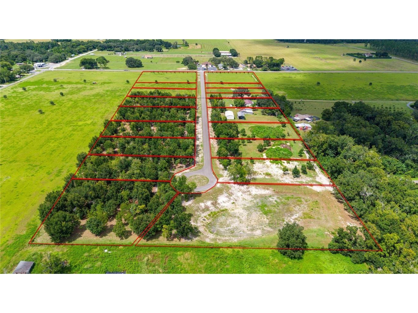 14770 Crimson Oaks Trail Dade City FL 33525 T3552846 image5