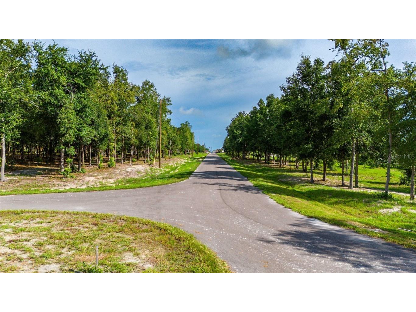 14770 Crimson Oaks Trail Dade City FL 33525 T3552846 image8