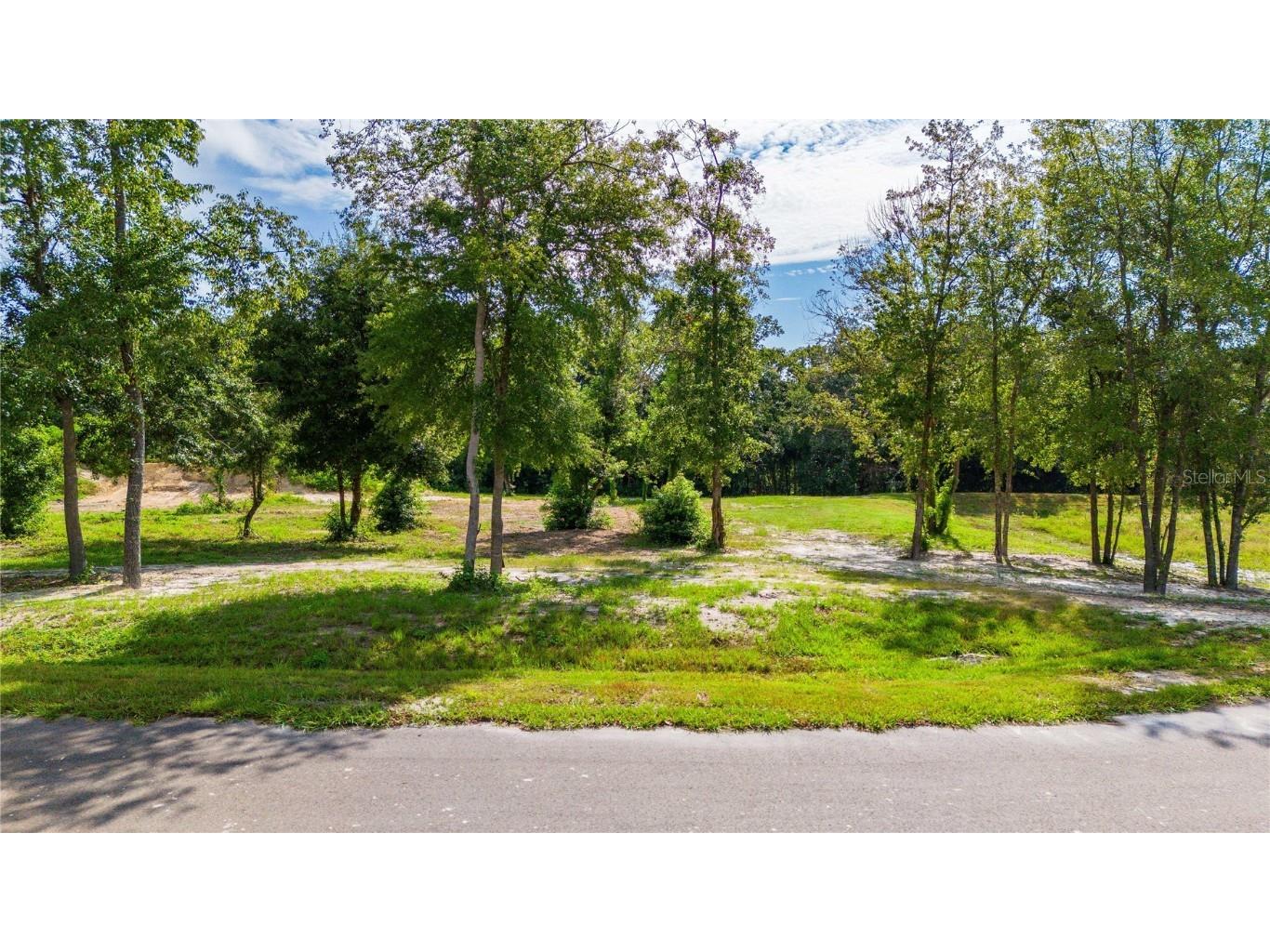 14770 Crimson Oaks Trail Dade City FL 33525 T3552846 image9