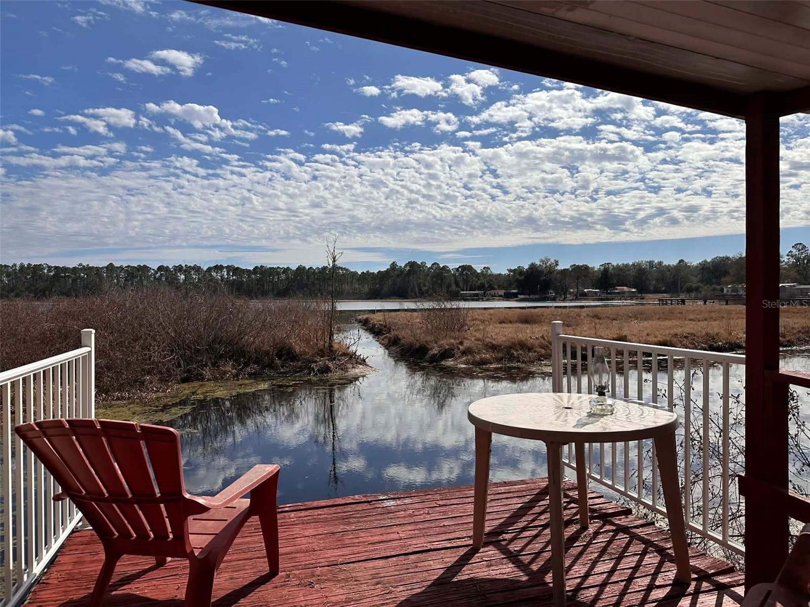 14776 NE 86th Lane Silver Springs FL 34488 - LAKE LYNNE OM718458 image23