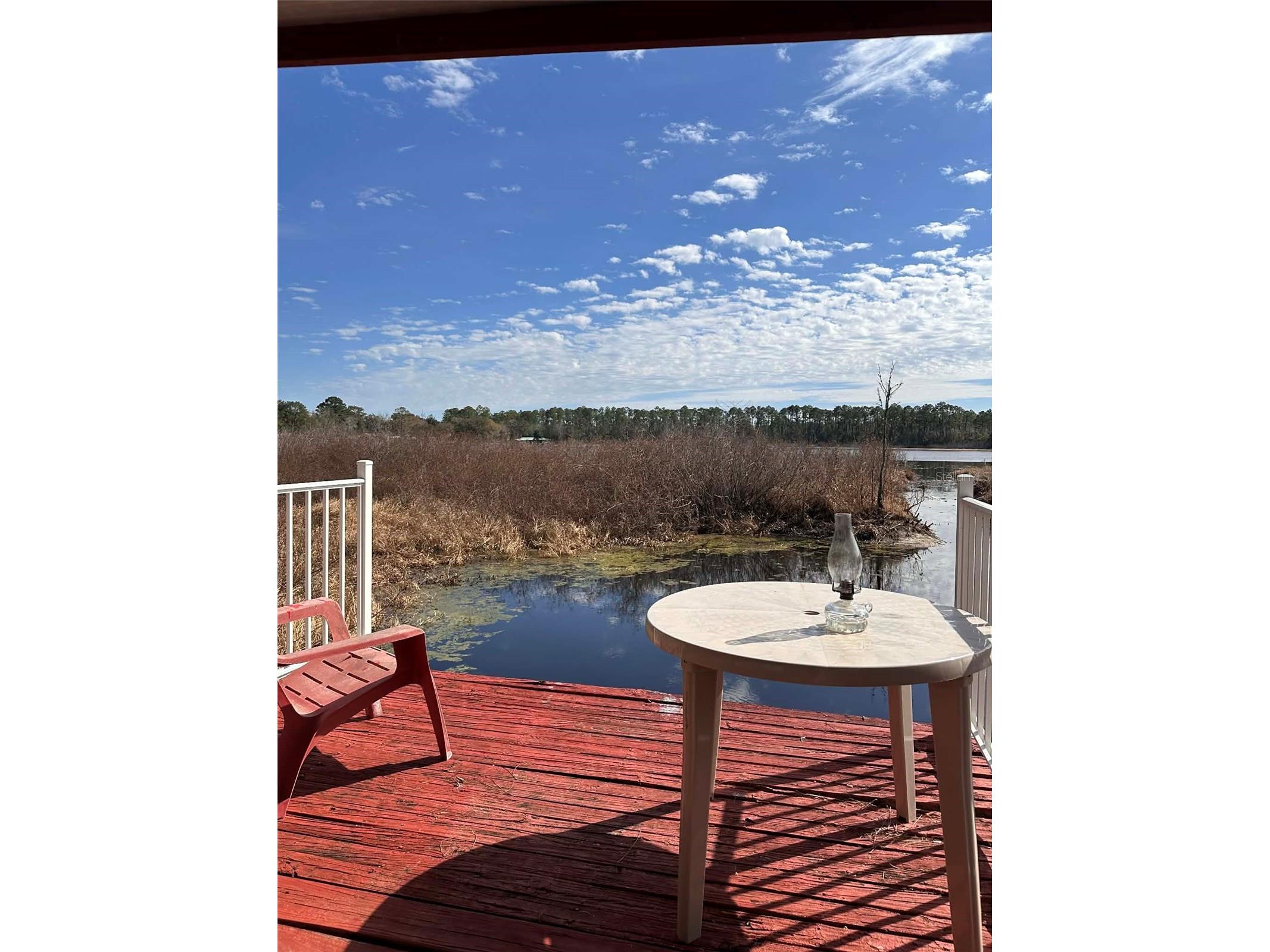 14776 NE 86th Lane Silver Springs FL 34488 - LAKE LYNNE OM718458 image25