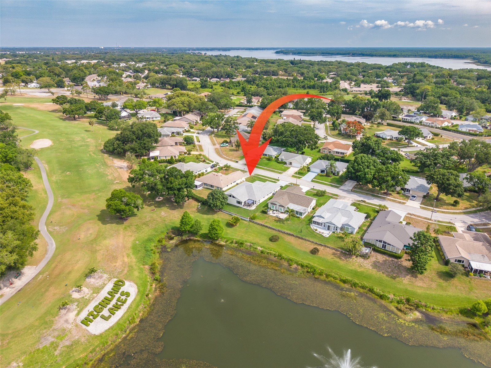 1478 Wicklow Drive Palm Harbor FL 34684 TB8508590 image2