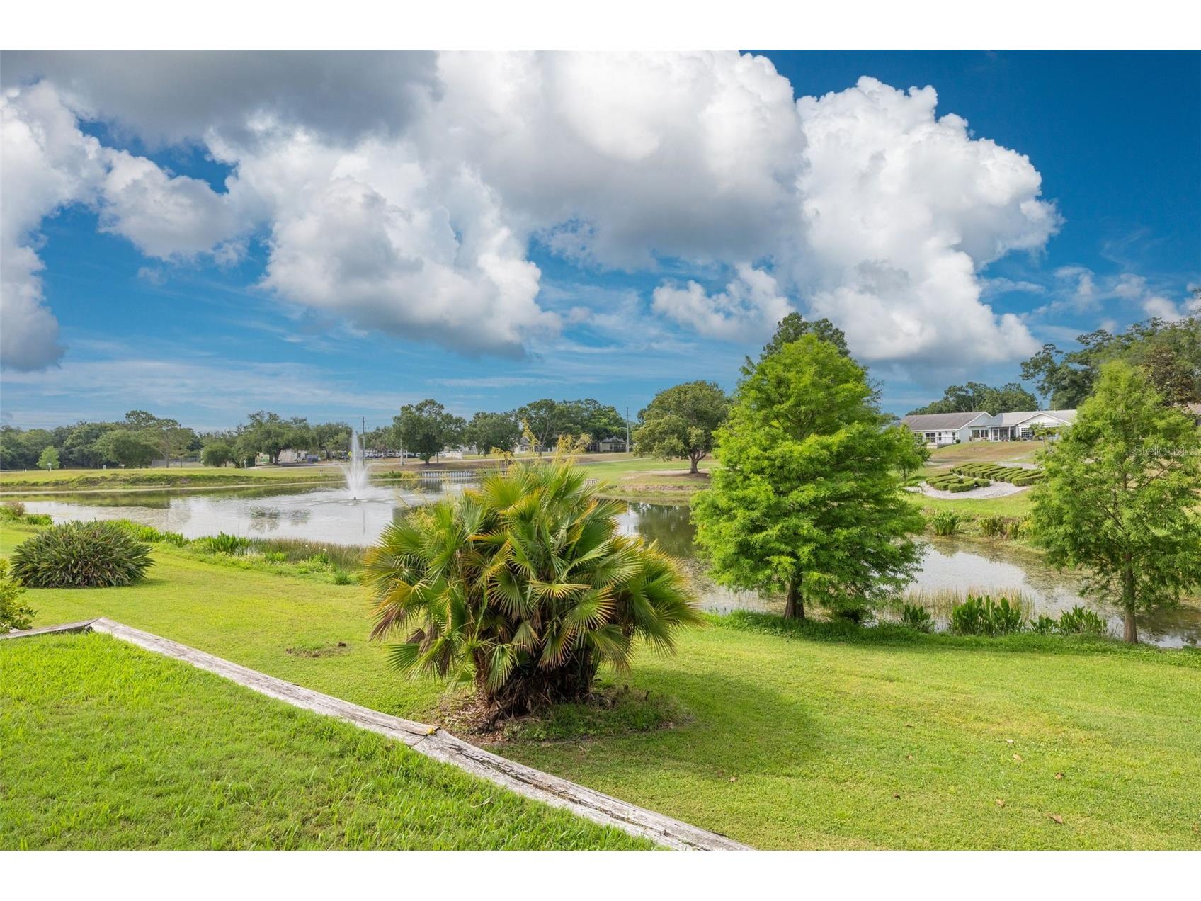 1478 Wicklow Drive Palm Harbor FL 34684 TB8508590 image39
