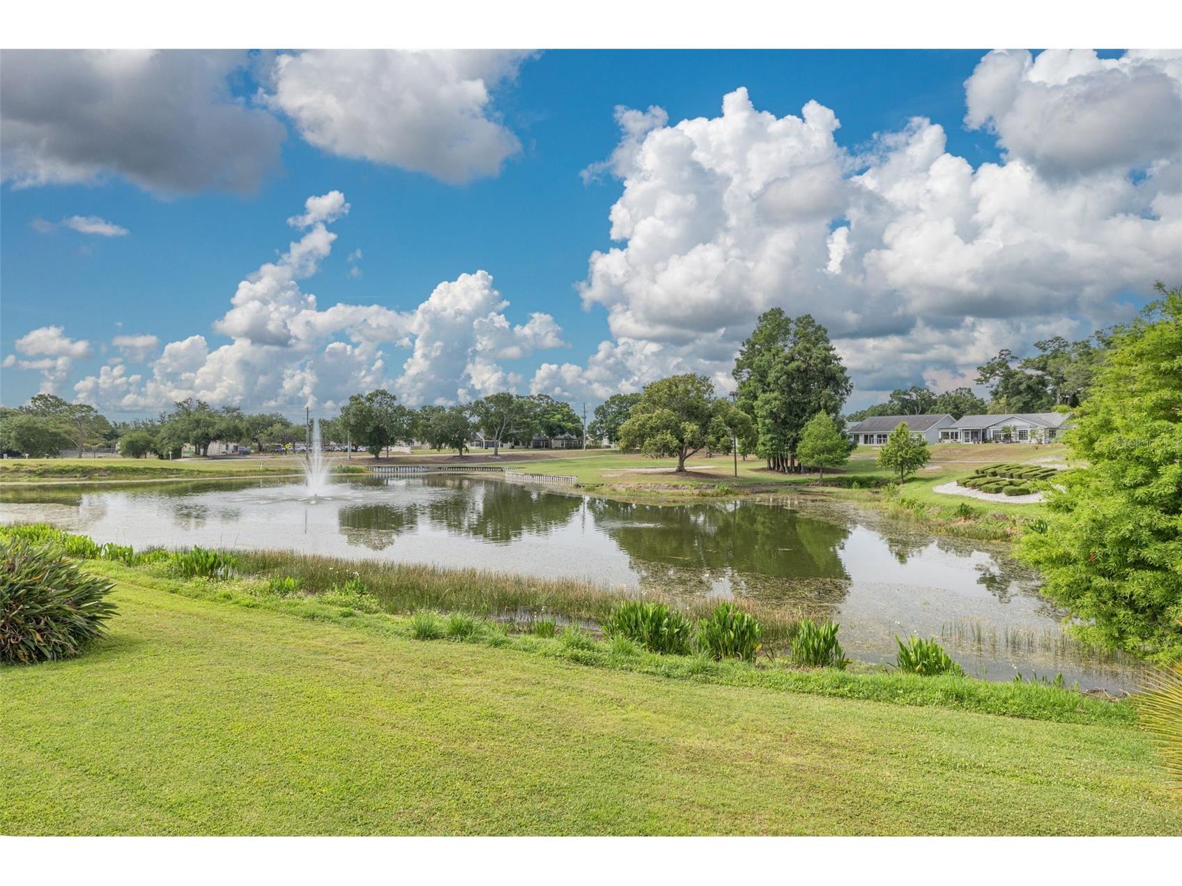 1478 Wicklow Drive Palm Harbor FL 34684 TB8508590 image41