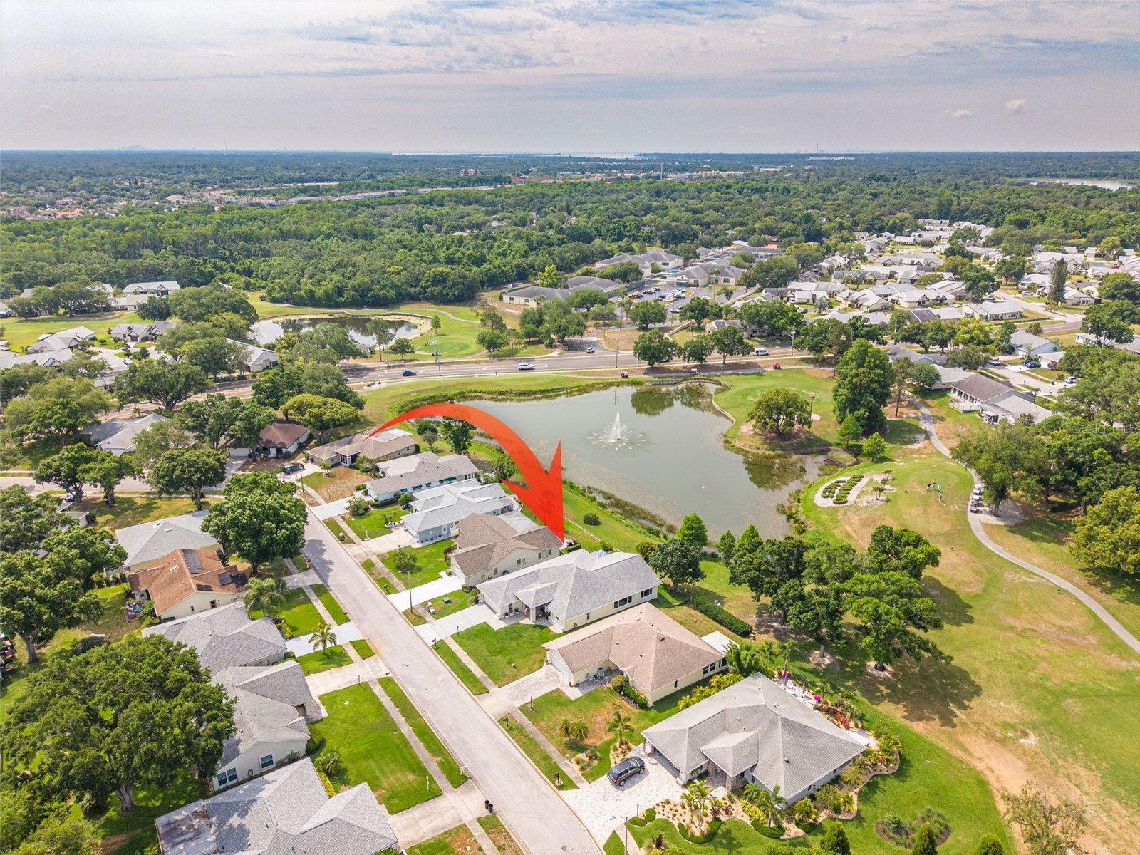 1478 Wicklow Drive Palm Harbor FL 34684 TB8508590 image45