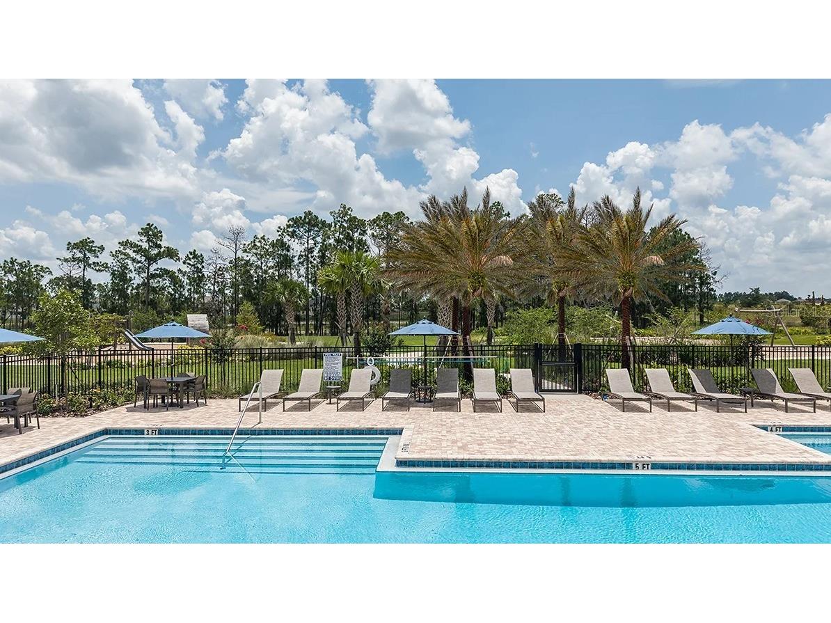 14780 Field Daisy Drive Winter Garden FL 34787 O6391463 image41
