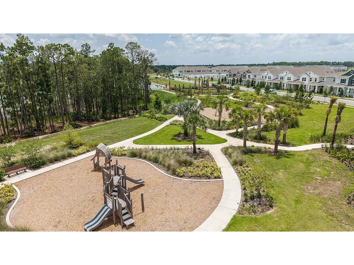 14780 Field Daisy Drive Winter Garden FL 34787 O6391463 image45