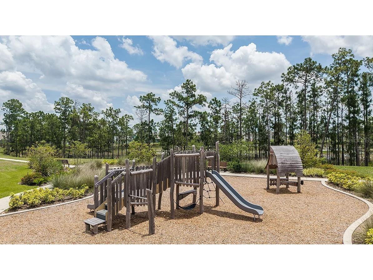 14780 Field Daisy Drive Winter Garden FL 34787 O6391463 image46