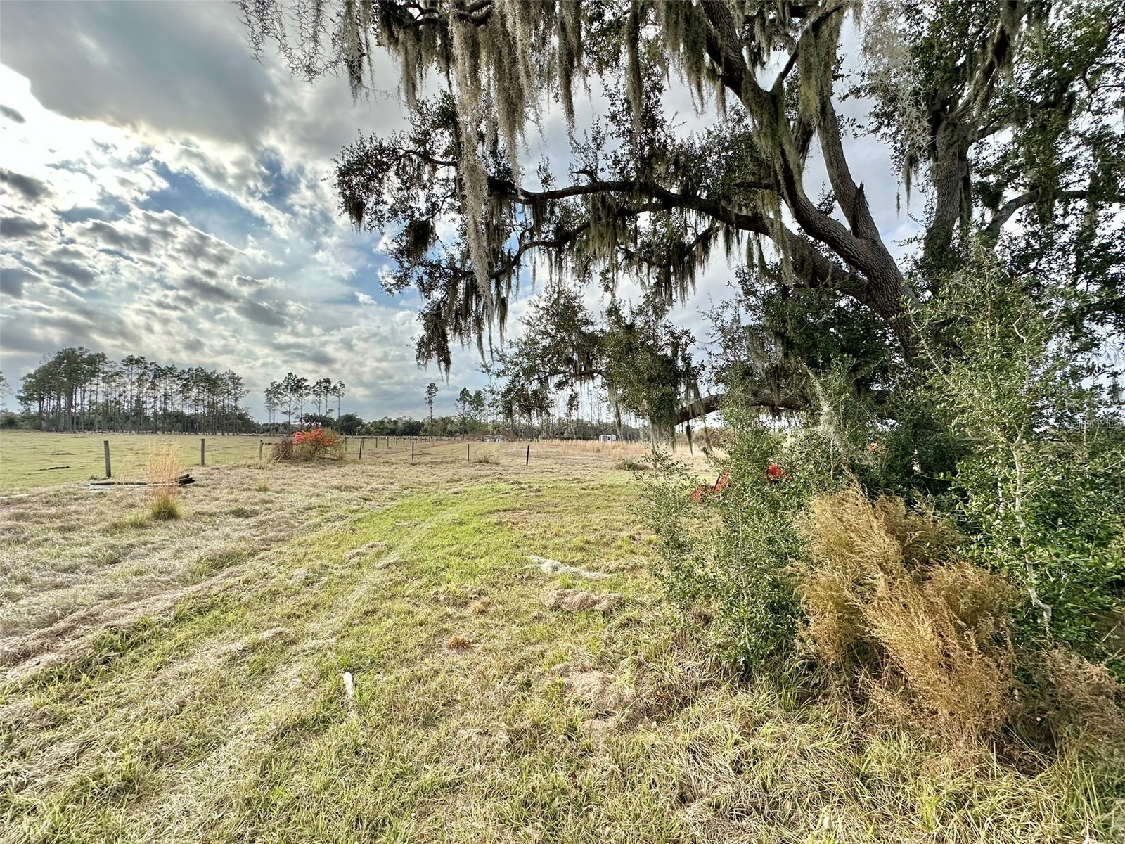 14780 Sugar Bowl Road Myakka City FL 34251 - HORSESHOE SHAPED POND TB8465950 image12