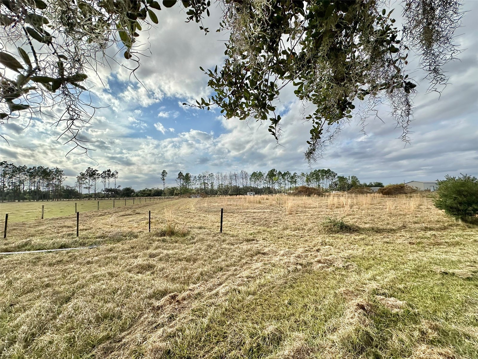 14780 Sugar Bowl Road Myakka City FL 34251 - HORSESHOE SHAPED POND TB8465950 image15