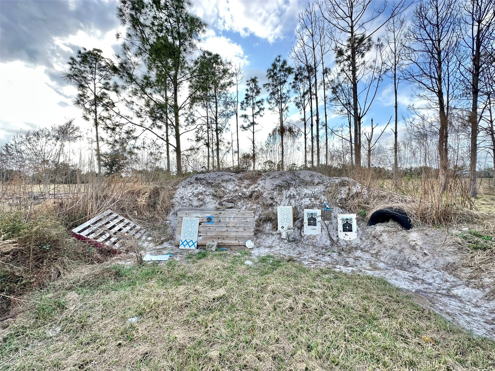 14780 Sugar Bowl Road Myakka City FL 34251 - HORSESHOE SHAPED POND TB8465950 image17