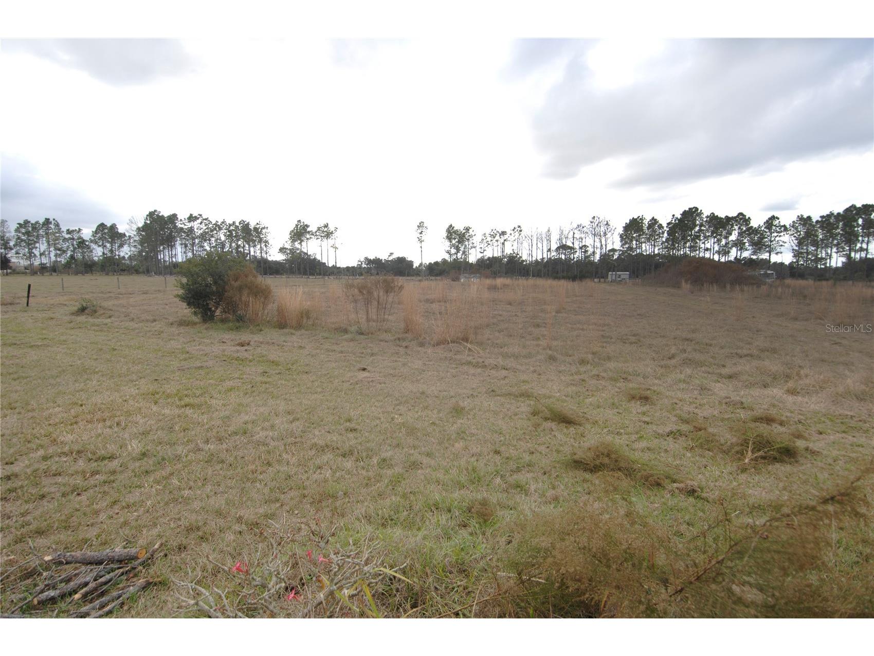 14780 Sugar Bowl Road Myakka City FL 34251 - HORSESHOE SHAPED POND TB8465950 image22