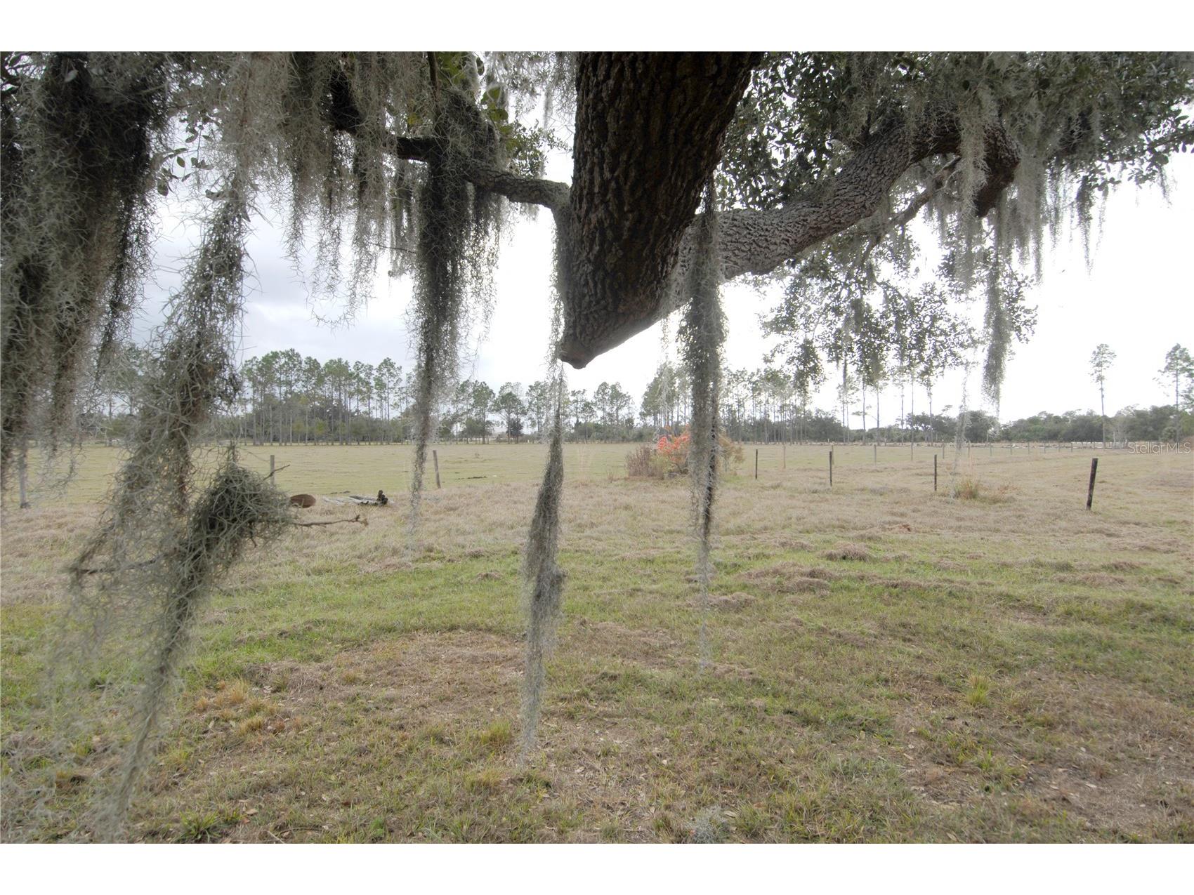14780 Sugar Bowl Road Myakka City FL 34251 - HORSESHOE SHAPED POND TB8465950 image24