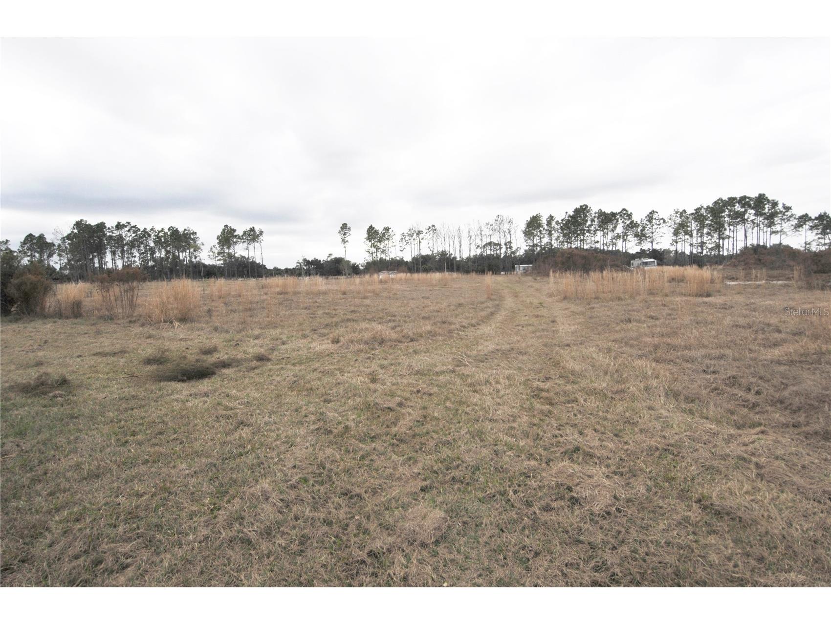 14780 Sugar Bowl Road Myakka City FL 34251 - HORSESHOE SHAPED POND TB8465950 image37