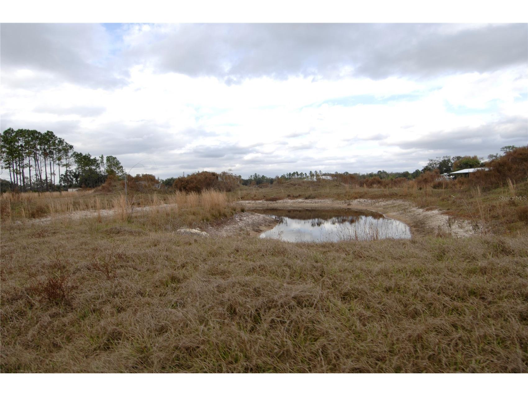 14780 Sugar Bowl Road Myakka City FL 34251 - HORSESHOE SHAPED POND TB8465950 image39