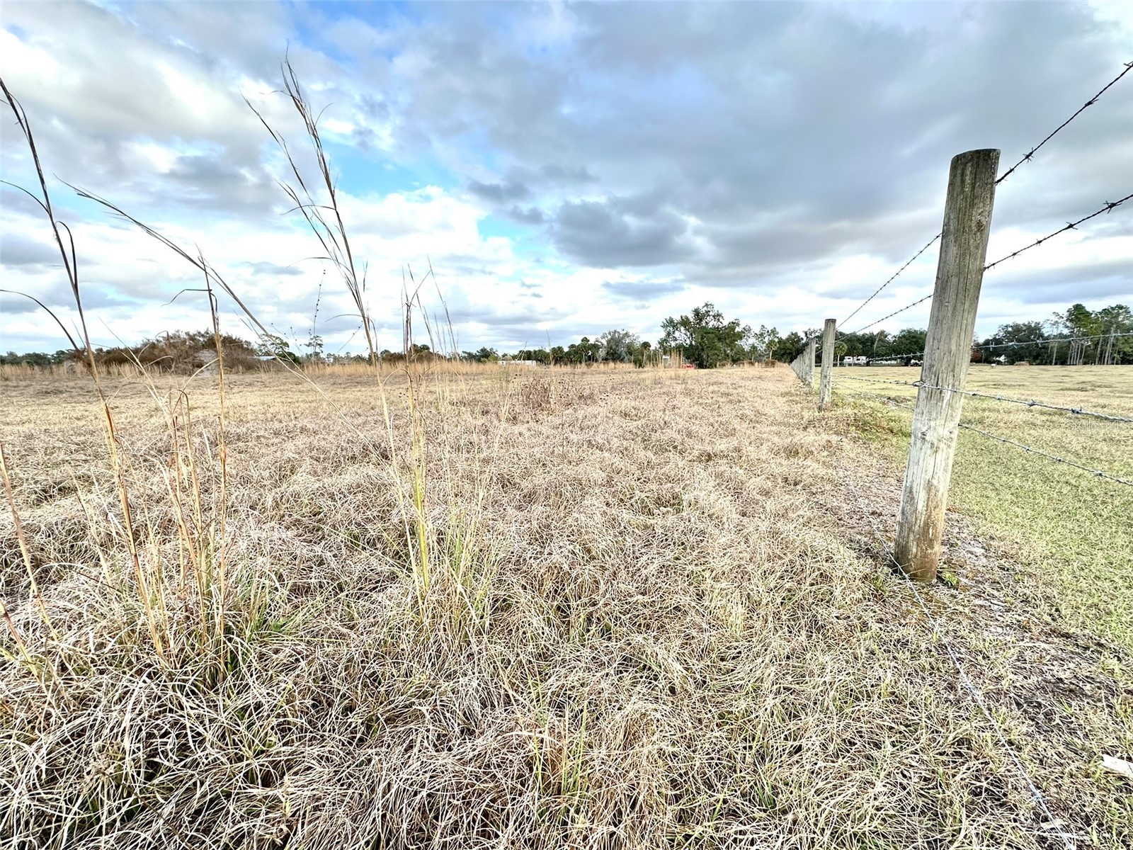 14780 Sugar Bowl Road Myakka City FL 34251 - HORSESHOE SHAPED POND TB8465950 image4