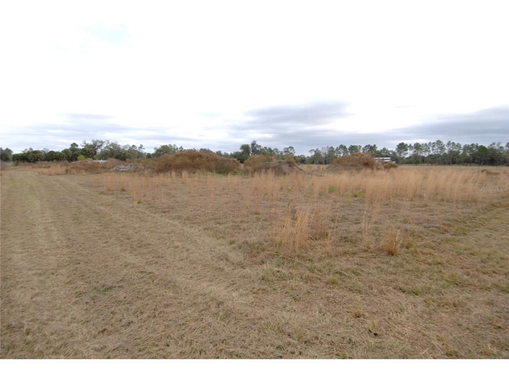 14780 Sugar Bowl Road Myakka City FL 34251 - HORSESHOE SHAPED POND TB8465950 image40