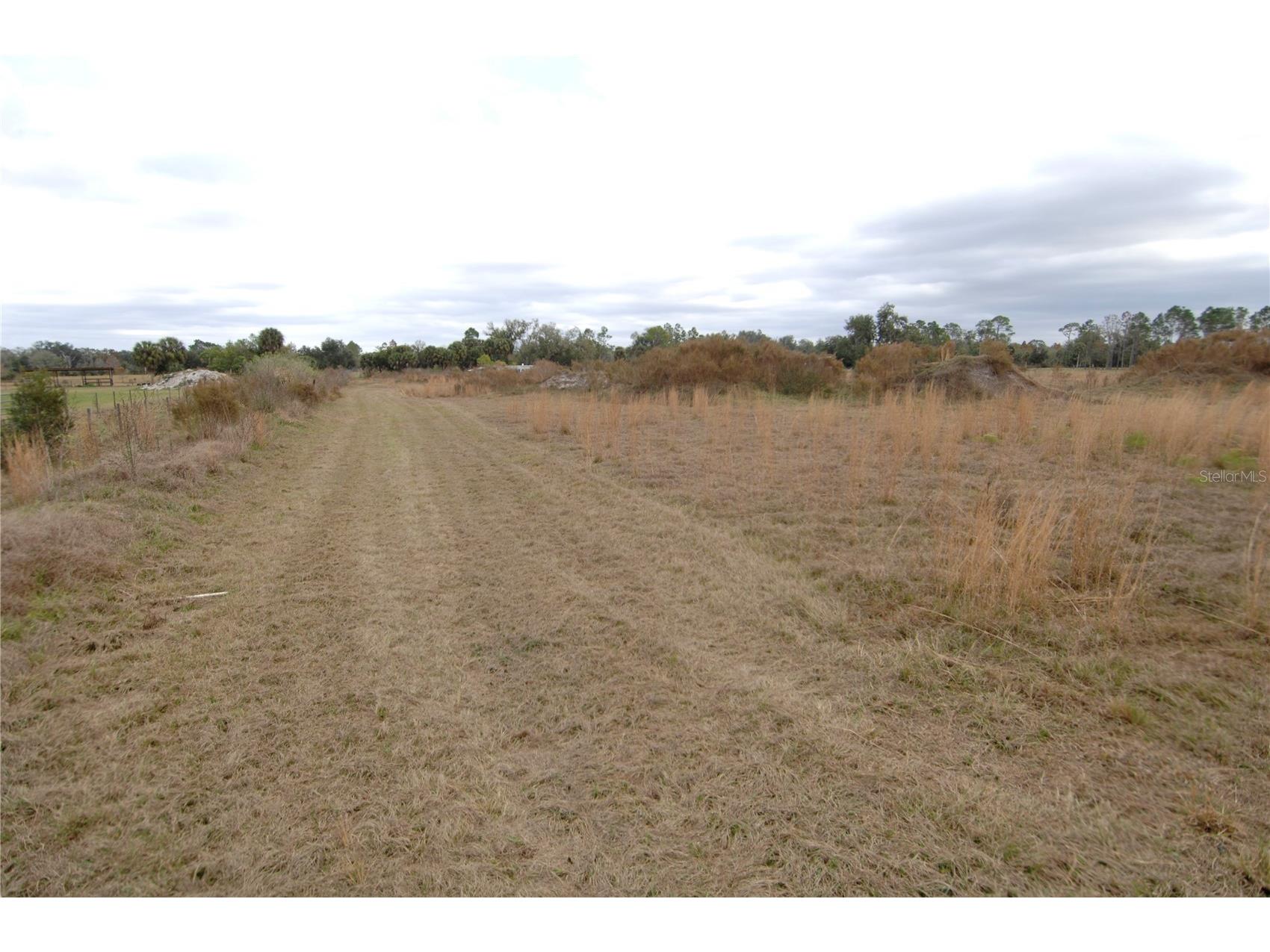 14780 Sugar Bowl Road Myakka City FL 34251 - HORSESHOE SHAPED POND TB8465950 image41