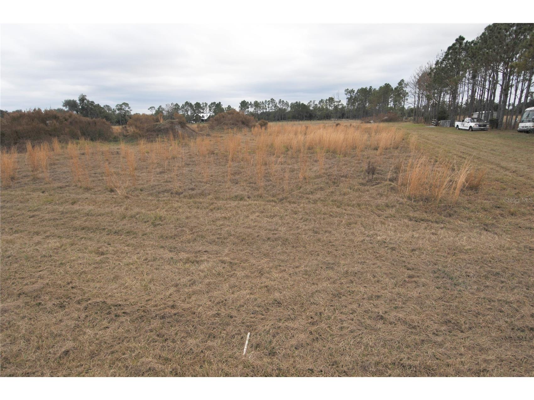 14780 Sugar Bowl Road Myakka City FL 34251 - HORSESHOE SHAPED POND TB8465950 image42