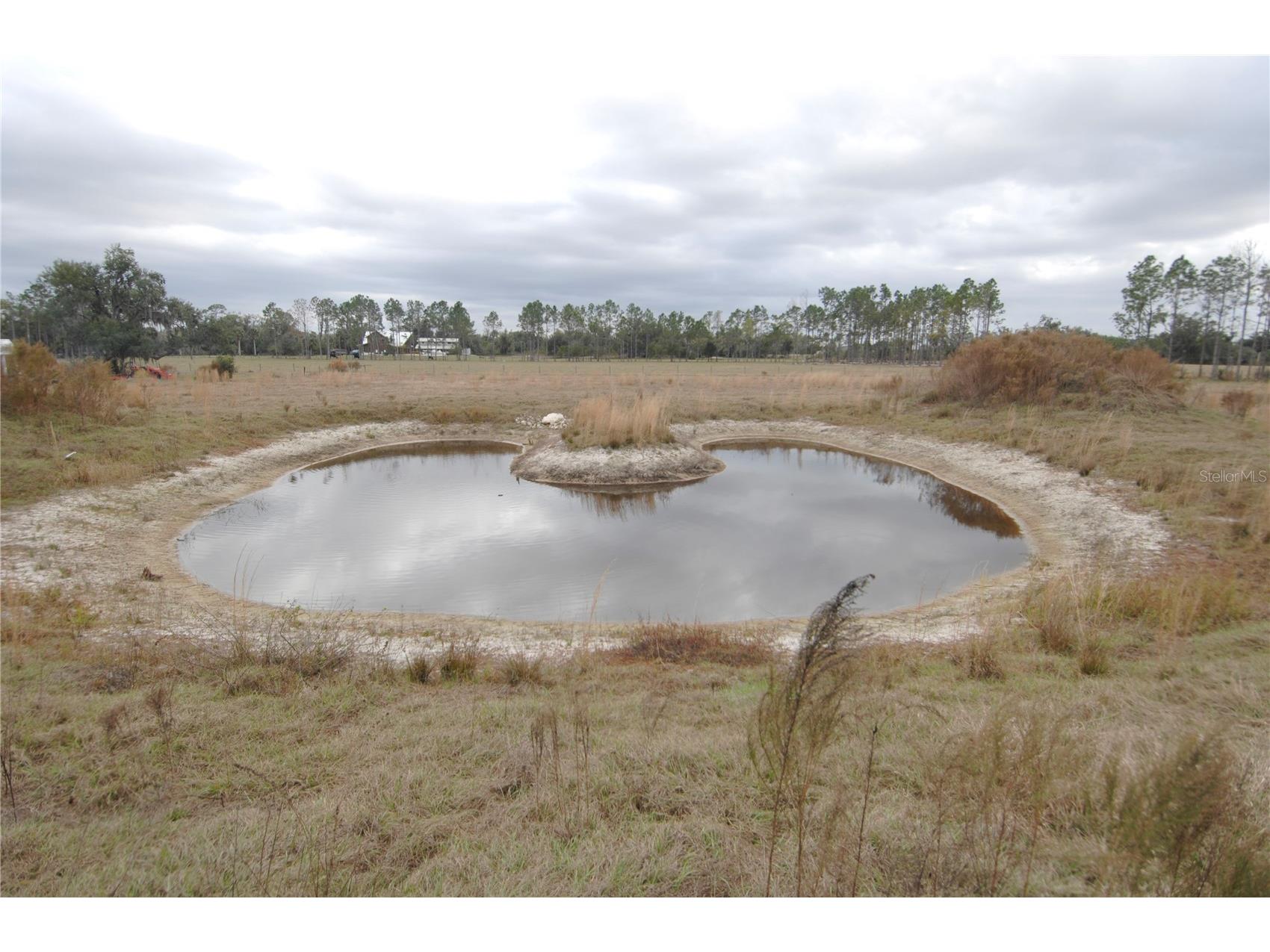 14780 Sugar Bowl Road Myakka City FL 34251 - HORSESHOE SHAPED POND TB8465950 image43
