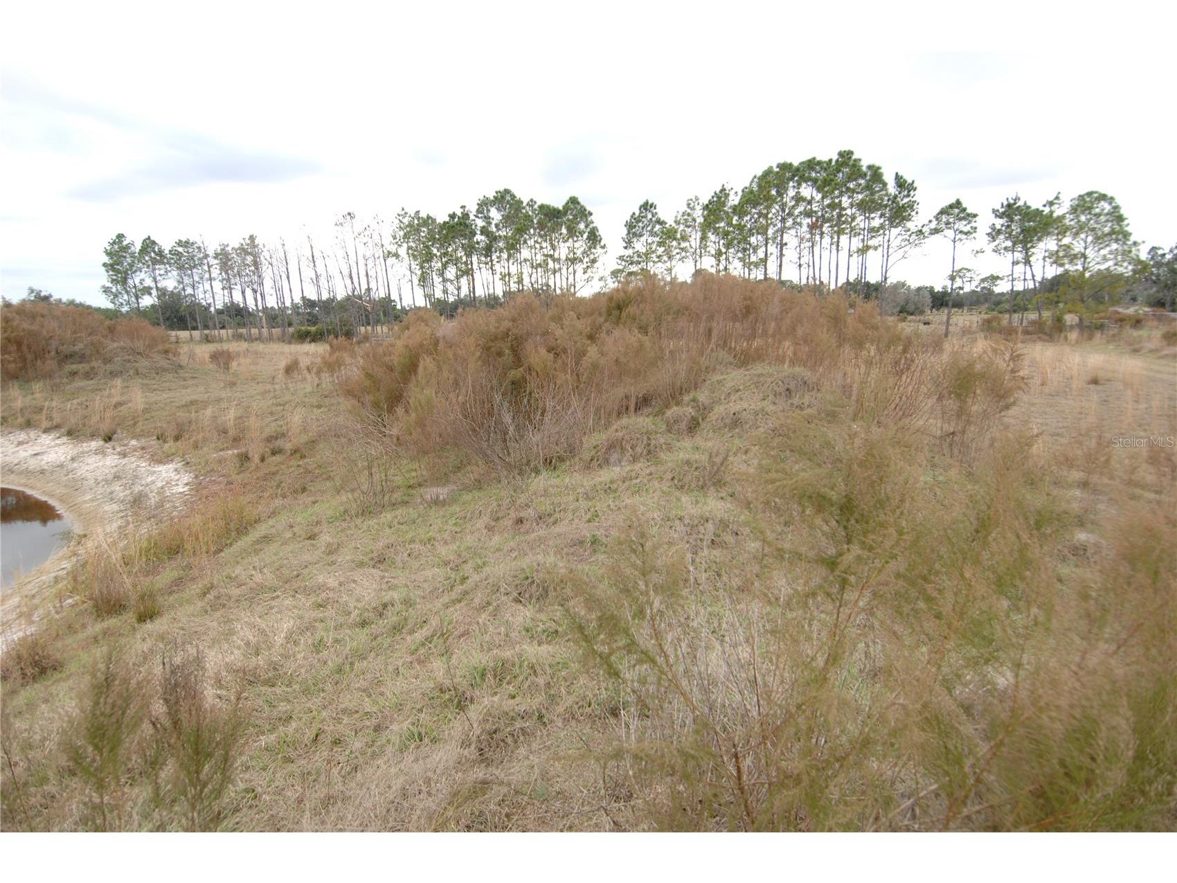 14780 Sugar Bowl Road Myakka City FL 34251 - HORSESHOE SHAPED POND TB8465950 image44
