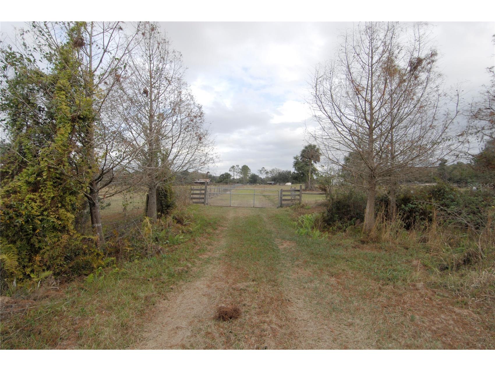 14780 Sugar Bowl Road Myakka City FL 34251 - HORSESHOE SHAPED POND TB8465950 image47