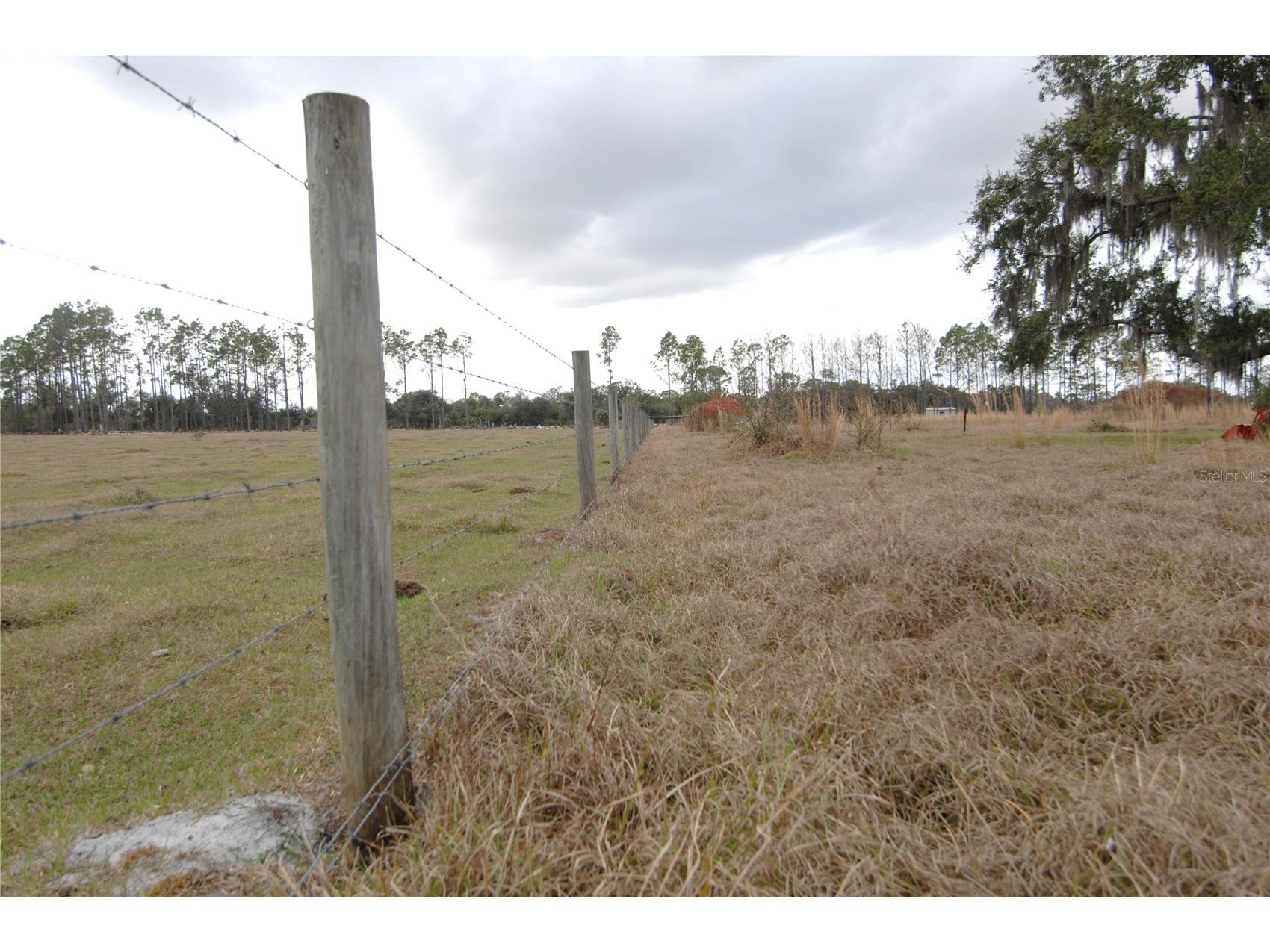 14780 Sugar Bowl Road Myakka City FL 34251 - HORSESHOE SHAPED POND TB8465950 image49