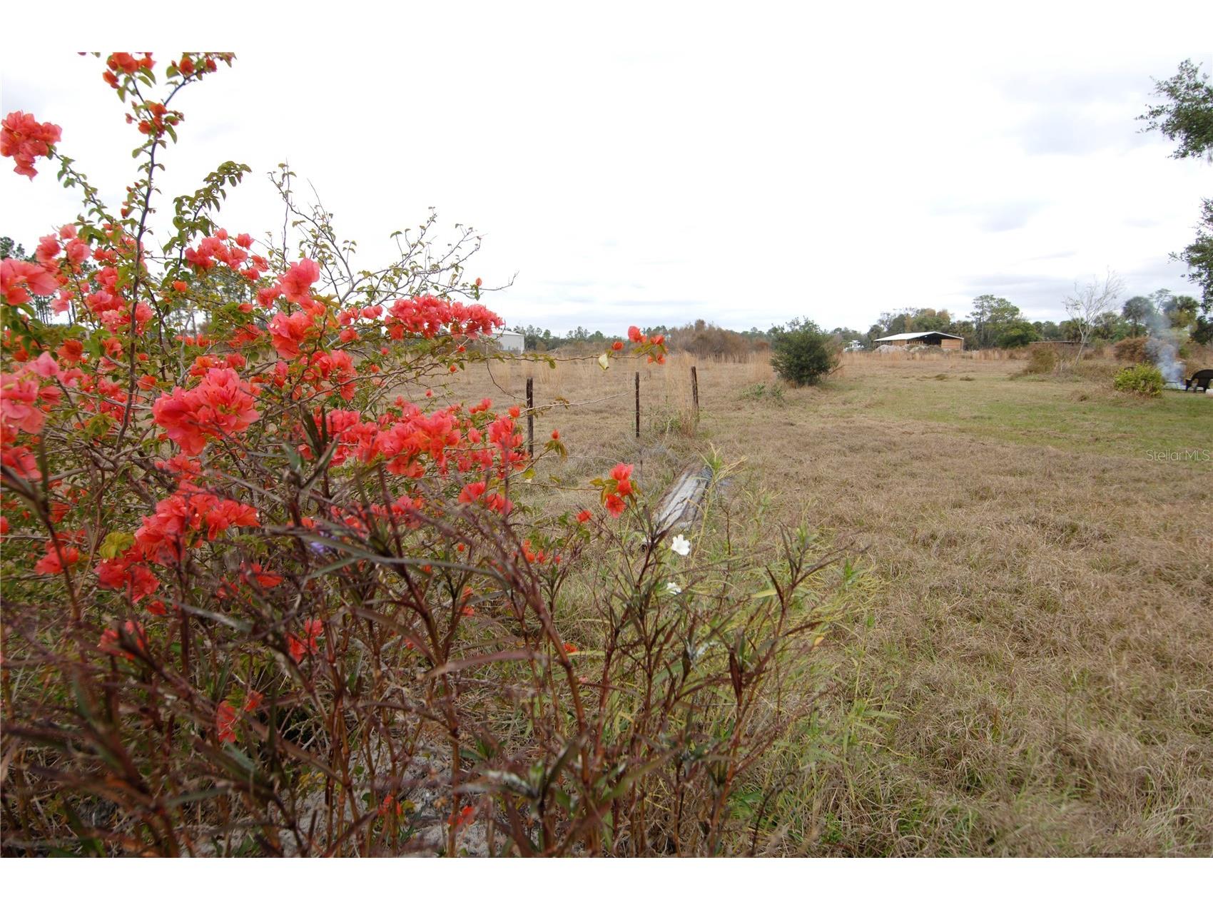 14780 Sugar Bowl Road Myakka City FL 34251 - HORSESHOE SHAPED POND TB8465950 image52
