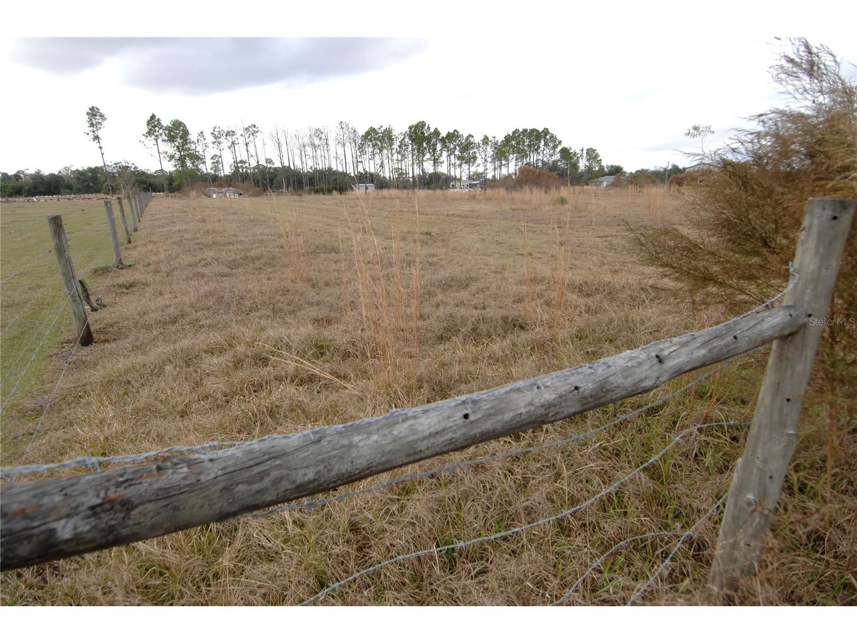 14780 Sugar Bowl Road Myakka City FL 34251 - HORSESHOE SHAPED POND TB8465950 image53