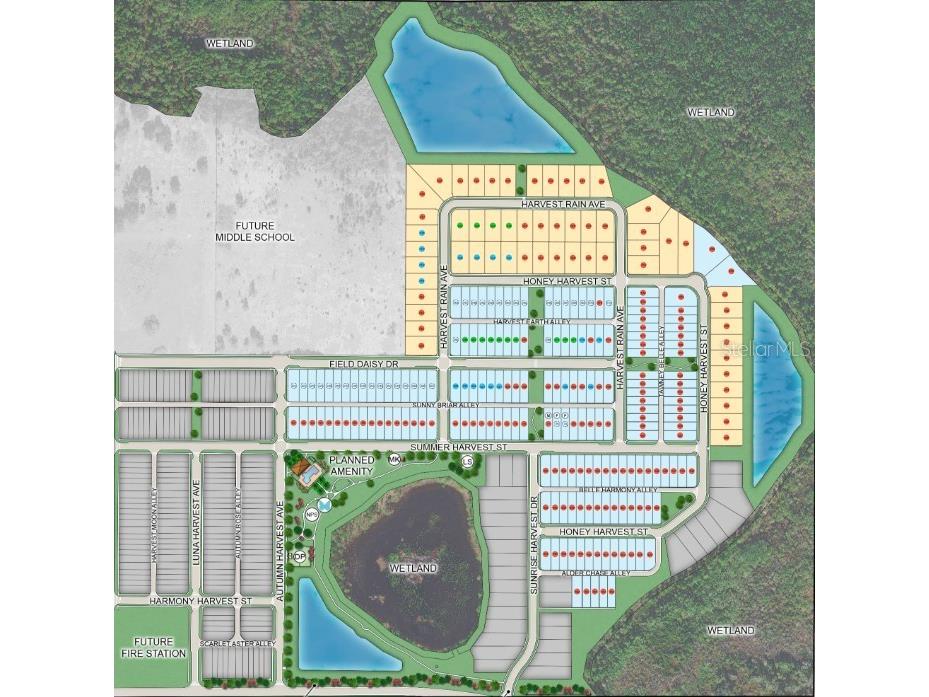 14788 Field Daisy Drive Winter Garden FL 34787 O6398754 image35