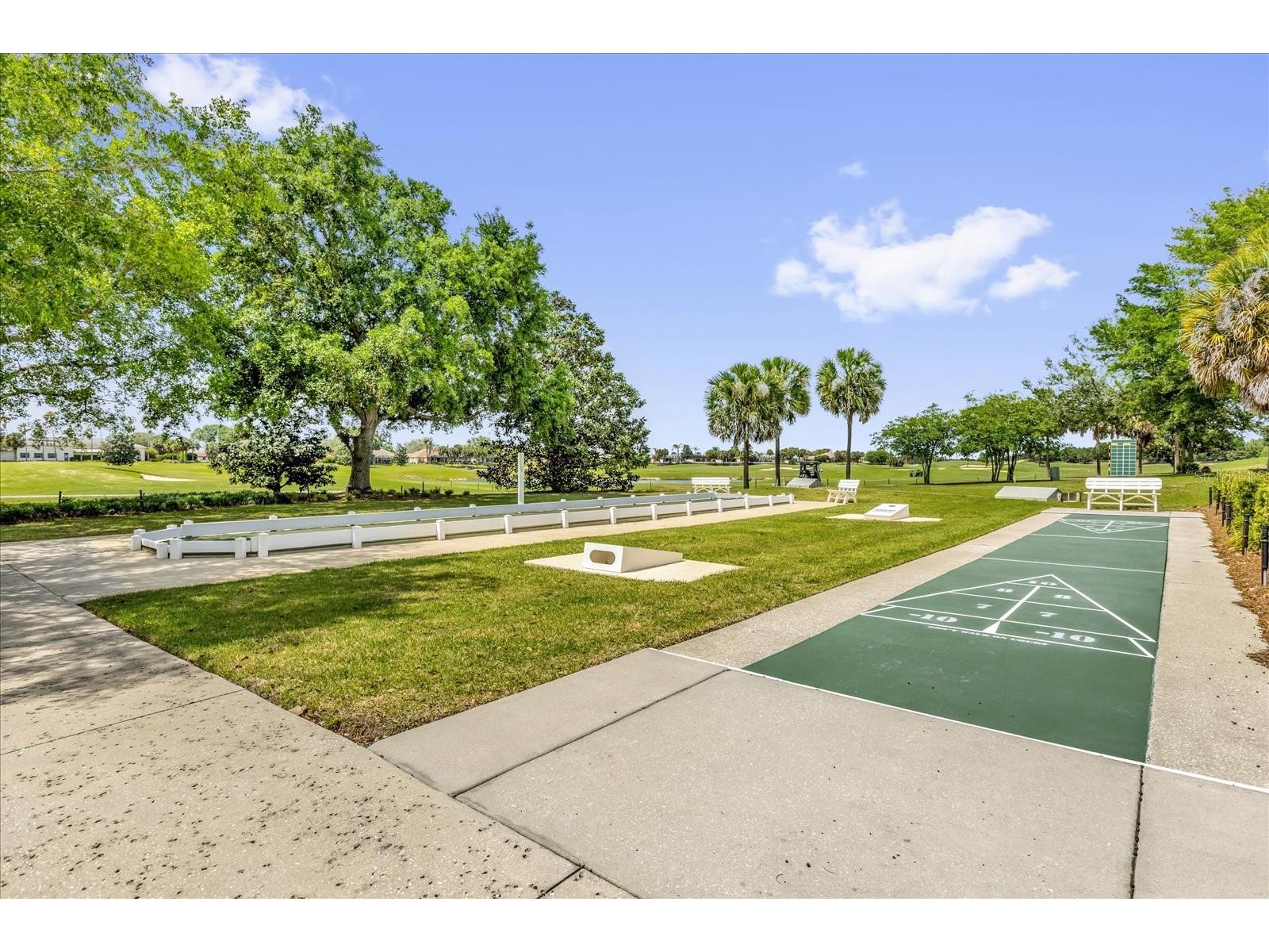 1479 Georgetown Avenue The Villages FL 32162 G5110429 image28