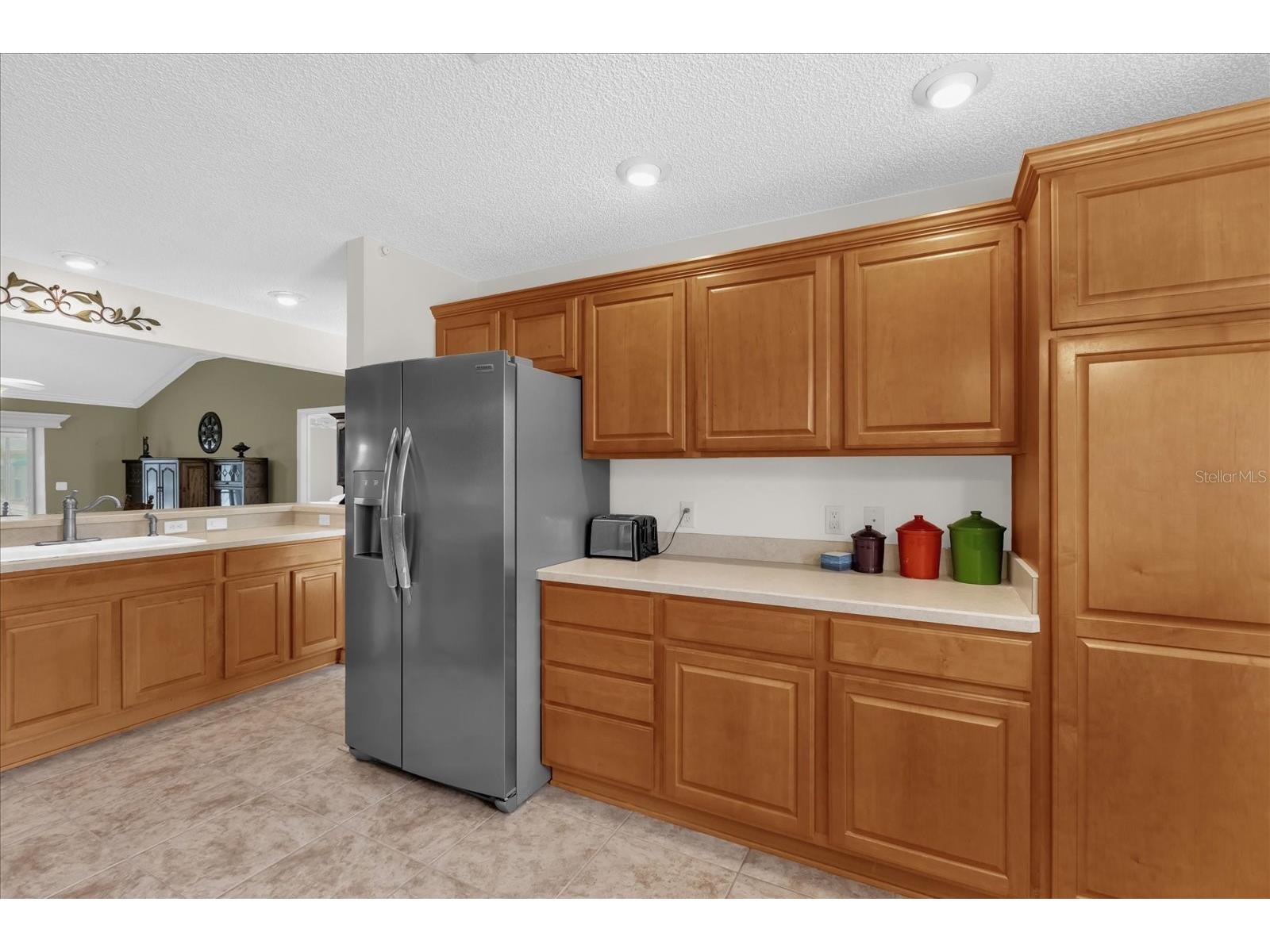 1479 Georgetown Avenue The Villages FL 32162 G5110429 image4