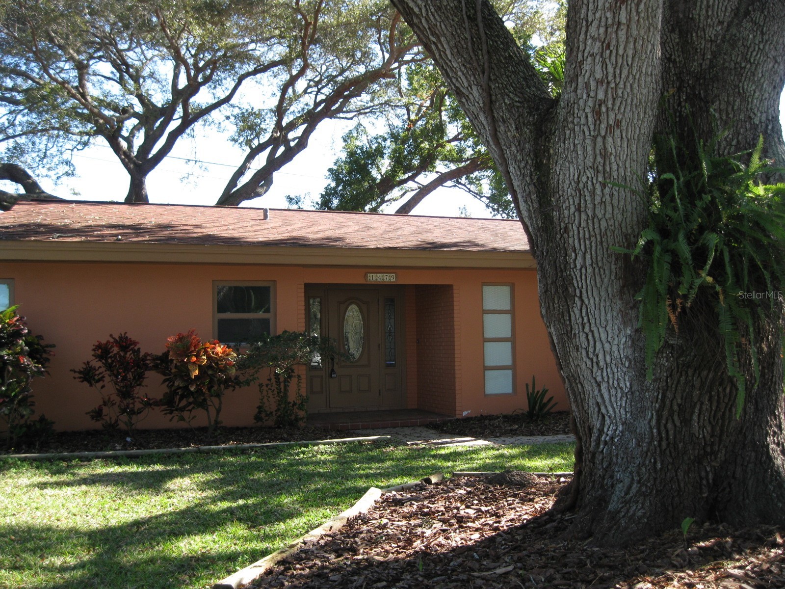 1479 Ruth Road Dunedin FL 34698 TB8488735 image3