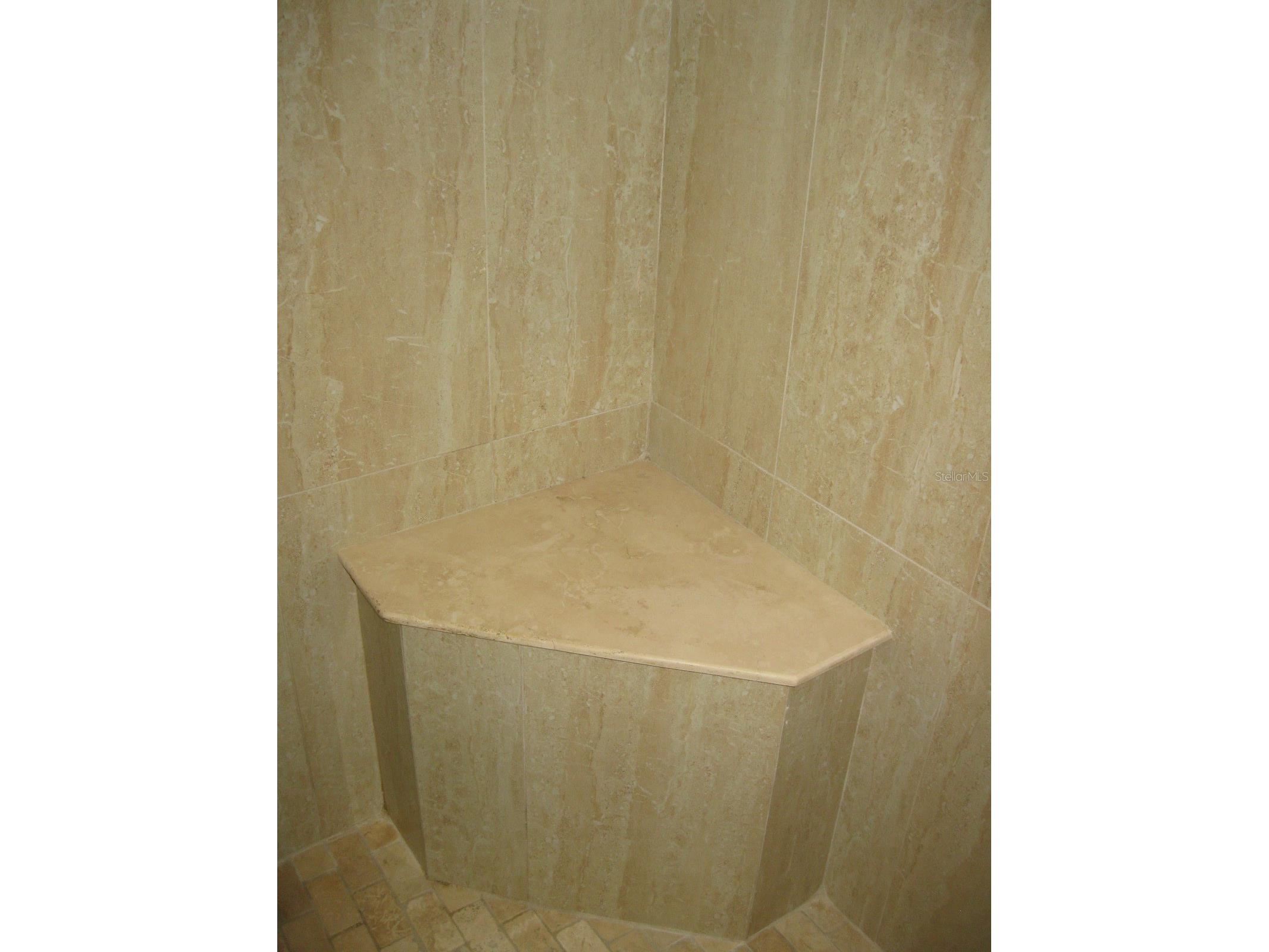 1479 Ruth Road Dunedin FL 34698 TB8488735 image35