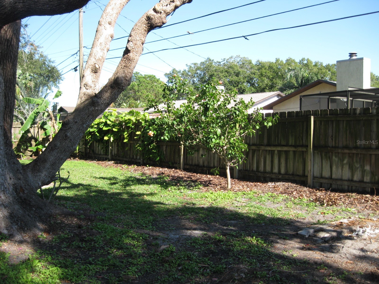 1479 Ruth Road Dunedin FL 34698 TB8488735 image42